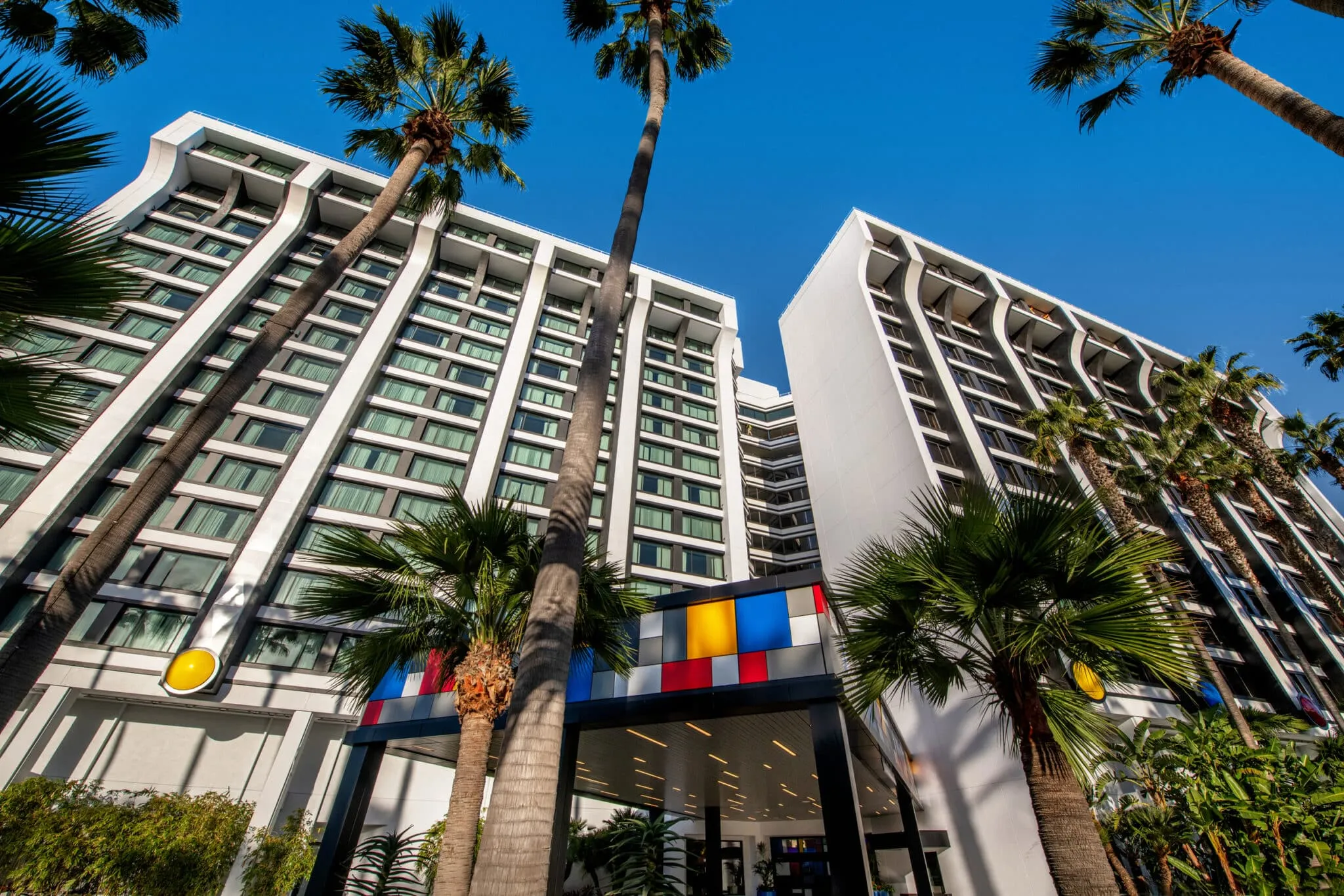 a tall palm trees next to a building